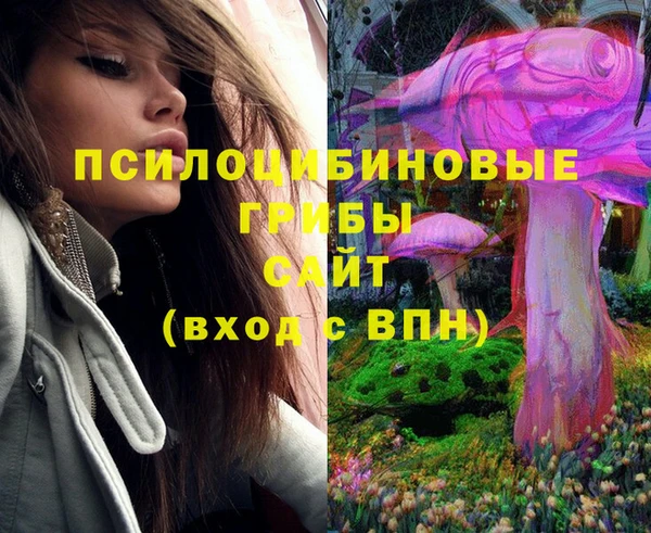 дурь Вяземский