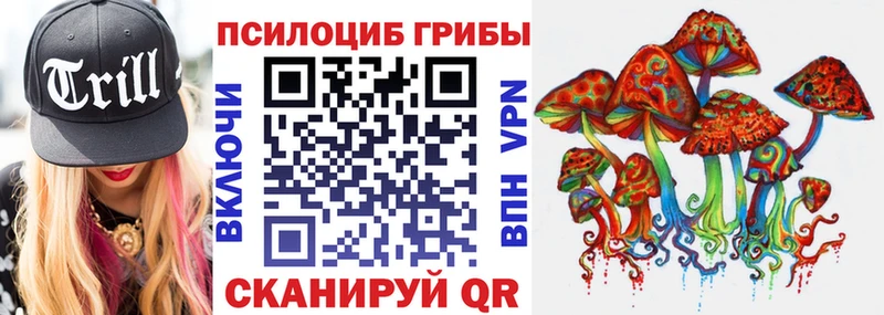 Псилоцибиновые грибы ЛСД  Купить где  Сусуман 